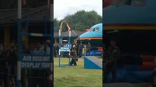 Sri Lanka air force Dog Show Camp Koggala please subscribe [upl. by Llerdnam]