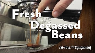 Should You Wait Before Using Freshly Roasted Espresso Beans [upl. by Hanikas856]