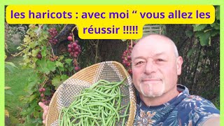 Les haricots verts  ON SE DIT TOUT ET COMMENT SEMER [upl. by Queri70]