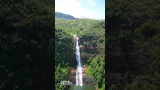 Gartmore Falls Maskeliya Sri Lanka travel waterfall srilanka maskeliya travelsl waterfalls [upl. by Connolly133]