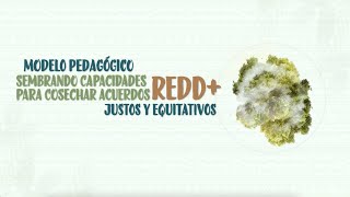 MODELO PEDAGÓGICO SEMBRANDO CAPACIDADES PARA COSECHAR ACUERDOS REDD JUSTOS Y EQUITATIVOS [upl. by Ilaw]