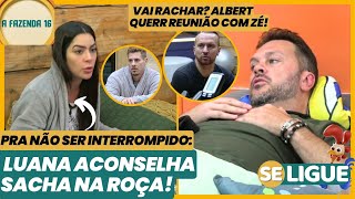 A Fazenda  Luana aconselha Sacha na roça Vai rachar Albert quer reunião com Zé Love Ao Vivo [upl. by Sublett806]