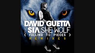 She Wolf vs Years Moritz Becker Mashup  David Guetta amp Alesso [upl. by Ursi]