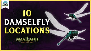 10 Damselfly Locations – Where to find Damselflies  Smalland [upl. by Vera]