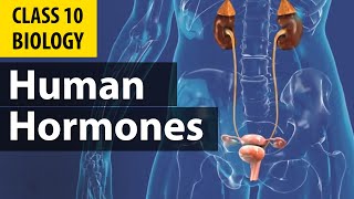 controlandcoordination Hormones in Animals  cbse Biology  NCERT class 10 science chapter 7 [upl. by Naus]