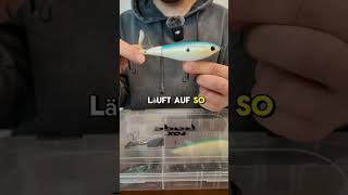 Unverkennbarer Sound Berkley Choppo 120 angeln hecht topwater berkleyfishing choppo [upl. by Innek]