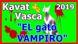 Warframe 👉 KAVAT VAMPIRO vasca Como CONSEGUIRLO  BUILD en ESPAÑOL 2019🐱❤️ [upl. by Derick]