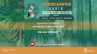 Agrocampus en contexto LA PORCICULTURA EN LA UNAL [upl. by Xylon]