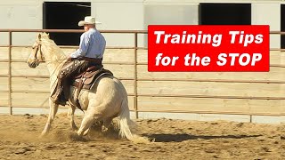 Training Tips for Stopping Your Horse  Reining Horse Reined Cow Horse Cutting Horse Stop [upl. by Pulcheria556]