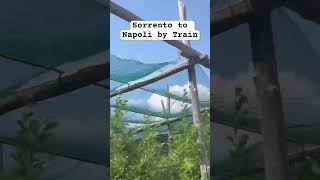 Sorrento to Napoli by traindenmark travel automobile denmarkvlog italy napoli funny memes [upl. by Nagek732]