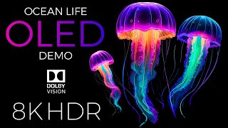 Ocean Life OLED Demo HDR 8K Ultra HD Dolby Vision™ 60fps [upl. by Christianity490]