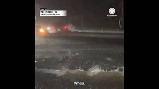 Cars Underwater in Palestine Texas Flooding [upl. by Jill]