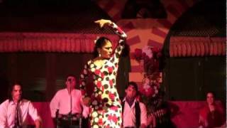 Flamenco Dance Seville Spain [upl. by Samalla273]