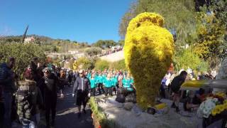 Corso fleuri BORMES LES MIMOSAS 2017 [upl. by Mishaan]