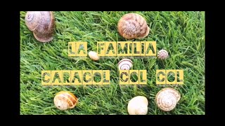 Cuento La familia Caracol Col col [upl. by Rehpotsirahc971]