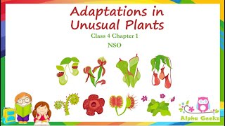 Adaptations in Unusual Plants  Module 29 Chapter 1  Olympiad Class 4 Science [upl. by Bourne]