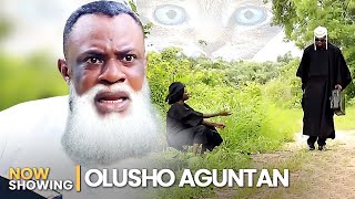 OLUSHO AGUNTAN  ODUNLADE ADEKOLA  Latest Yoruba Movie Drama 2024 [upl. by Ycats]