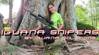 Iguana Snipers 69 Iguana Hunting in South Florida by Iguana Solutions [upl. by Burkitt352]