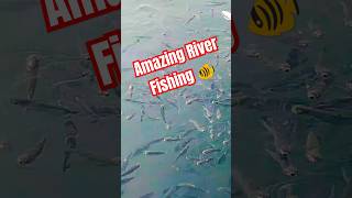 River Fishing🐠🐠 Best Underwater Fishing Takes 🐠🐠So CloseShort ViralTrending [upl. by Garnett]