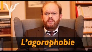 Agoraphobie les questions et surtout les réponses pour tous les agoraphobes [upl. by Worsham]