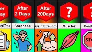 Timeline Comparison What If You did 100 Push Ups Everyday [upl. by Weidman562]