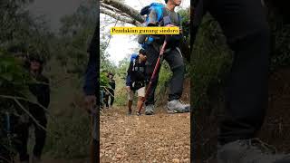 trek mtsindoroshorts gunungsindoro gunungindonesia pendakiindonesia sindoro [upl. by Enela51]