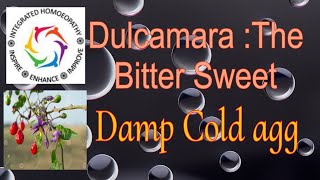 Dulcamara Bitter Sweet [upl. by Mckenzie200]