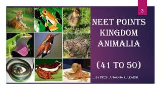 NEET KINGDOM ANIMALIA [upl. by Atirehs]