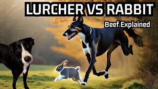 The Ecosystem Lurcher vs Rabbit  Beef Explained [upl. by Alletnahs]