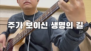 🎸  주가 보이신 생명의 길  마커스워십  BASS  찬양  커버 [upl. by Tranquada]