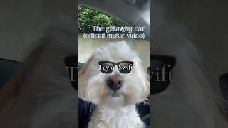 The getaway car Taylor Swift official music video🐕🐕🐕 [upl. by Amuwkuhc29]