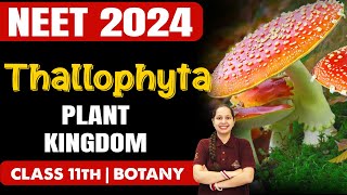 THALLOPHYTA  Plant Kingdom  Botany  NEET 2024  Class 11th Biology neet2024 botany [upl. by Eiramanit]