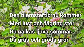 DEN BLOMSTERTID NU KOMMER  TEXT [upl. by Adelind364]