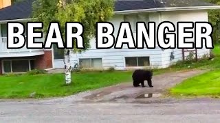 Bear Banger vs Black Bear [upl. by Dunaville]