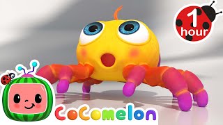 Itsy Bitsy Spider  CoComelon Animal Time  Learning with Animals  Nursery Rhymes for Kids [upl. by Lien]