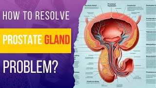 How to resolve Prostate Gland Problem In Hindi [upl. by Neale]