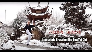 IMMORTALS CROSSING THE SEA  TAI CHI [upl. by Bj]