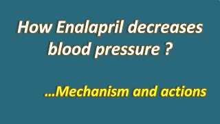 How enalapril decreases blood pressure  Mechanism amp actions [upl. by Elokyn]