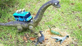 Dinosaurs amp Tayo Adventure Walking Brachiosaurus Lose Eggs Learn Names of Dinosaurs Fun Toys [upl. by Handy]