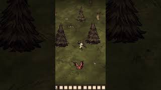 Dont Starve Together  Leszcz czy nie  gameplay [upl. by Ludwog812]