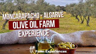 Olive Oil Experience in Algarve  Portugal [upl. by Rivard591]