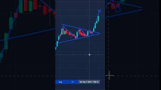 Bullish pennant Chart pattern trading nepseonlinetrading stockanalysis nepsetrader nepalshorts [upl. by Nyad]