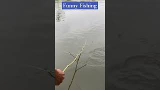 Lot Of fish in One time Fishing with Normfishingshortsreelsfishing video [upl. by Margreta289]