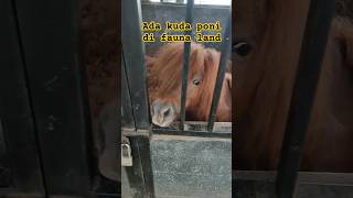 Kuda poni fauna land kudaponi faunaland fypシ゚ animals ytshort cepbigichannel [upl. by Engvall]