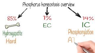 Hyperphosphatemia Electrolytes part 9 [upl. by Lowndes]