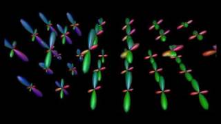 Fiber orientation distribution functions [upl. by Ardin]