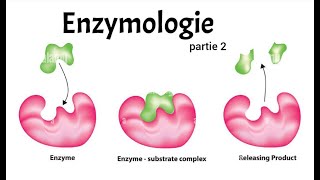 ENZYMOLOGIE PART 2  CINETIQUE  REGULATEURS  ALLOSTERIE [upl. by Llednil]