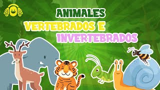 ANIMALES VERTEBRADOS E INVERTEBRADOS para niñosVídeo educativo para niños [upl. by Nerw415]