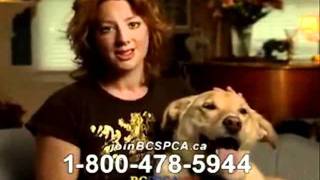 An ASPCA Commercial Airs While I Play Unfitting Music [upl. by Magena106]