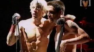 RHCP Big Day Out Scar Tissue  crazy crowd 2000 [upl. by Eshman]